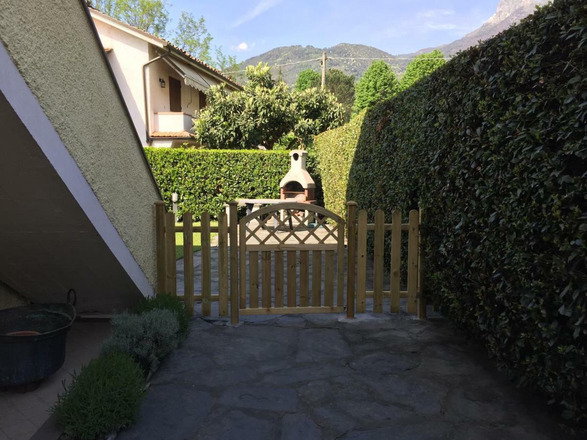 Villa Lorenzo Primo Piano Camaiore Bagian luar foto